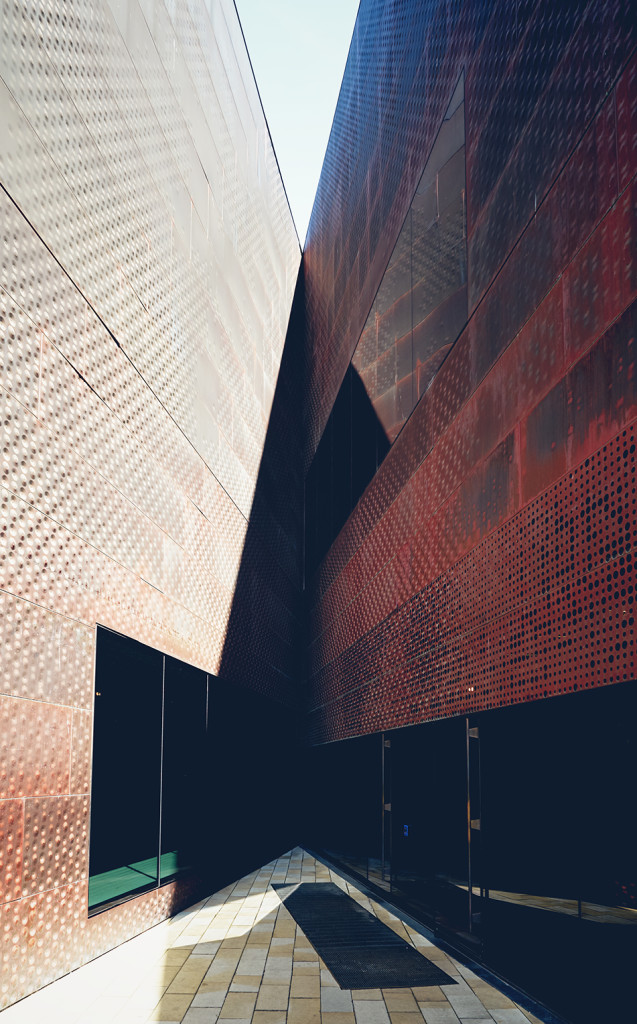 De Young Museum