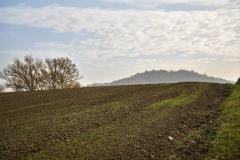 Campo-autunno_LEO-TORRI-STUDIO