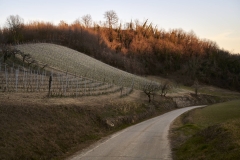 In-campagna-linizio-dellautunno_LEO-TORRI-Studio