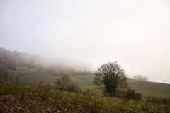 Nebbia-mattino-campagna-autunno-02_LEO-TORRI-STUDIO