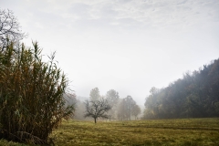 Nebbia-mattino-campagna-autunno_LEO-TORRI-STUDIO