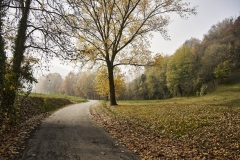 Strada-campagna-autunno-02_LEO-TORRI-STUDIO