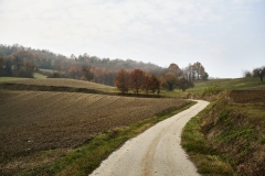 Strada-campagna-autunno_LEO-TORRI-STUDIO