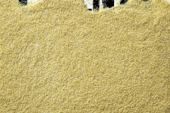 polenta01