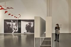 steinberg_milano-triennale_leo-torri9