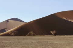 NAMIB66