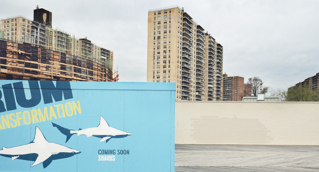 coney island